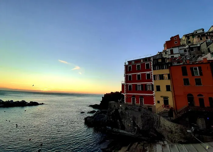 Pepita Di Rio