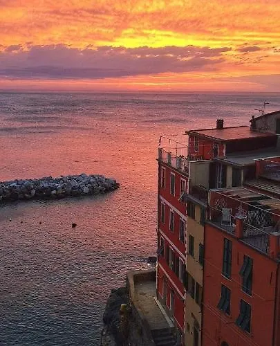 Pepita Di Rio