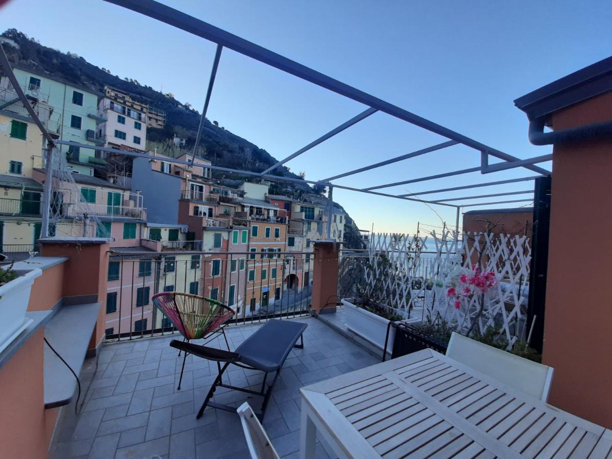 Pepita Di Rio *