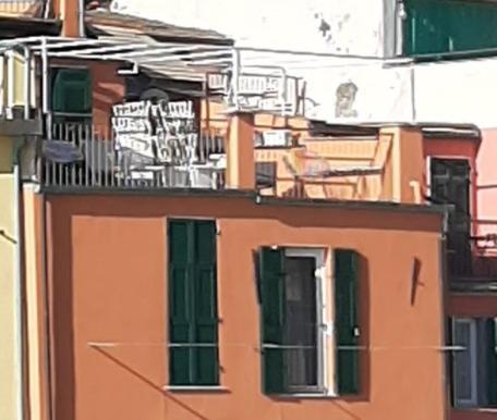 Pepita Di Rio *