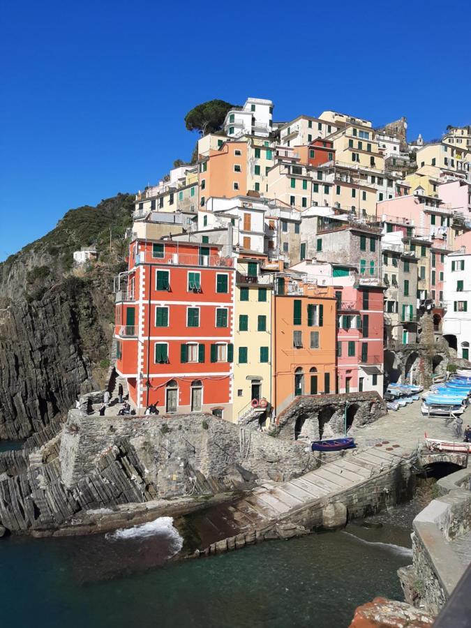 Pepita Di Rio